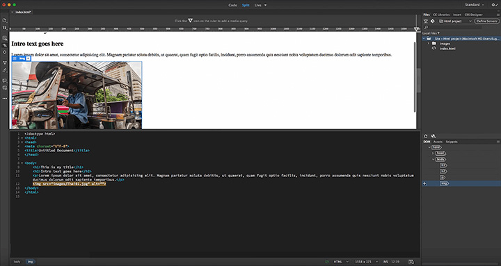Adobe Dreamweaver 2021 for Mac v21.1 DW下载