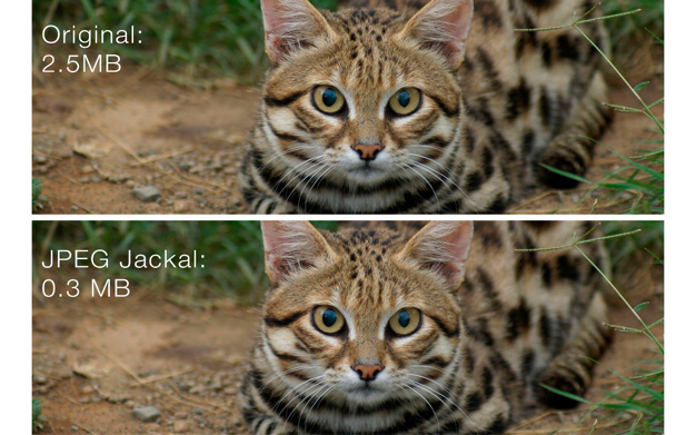 JPEG Jackal for mac v2.0.5 图片文件大小压缩工具下载
